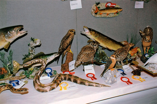 2004-vari